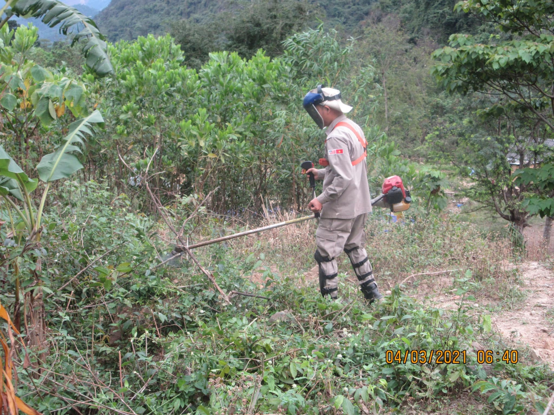 PeaceTrees continues uxo clearing efforts in vietnam